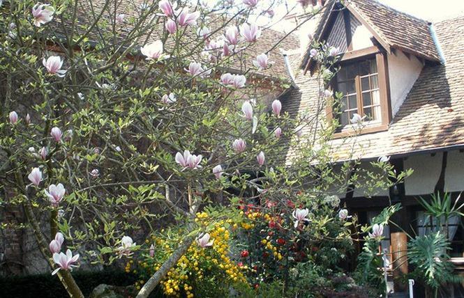 L'Auberge Du Faisan Dore Saint-Florent-le-Jeune Exterior foto